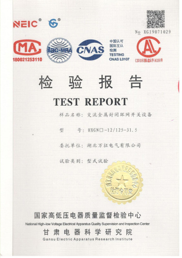 HXGN口-12/125-31.5交流金屬封閉環(huán)網(wǎng)開(kāi)關(guān)設(shè)備檢驗(yàn)報(bào)告