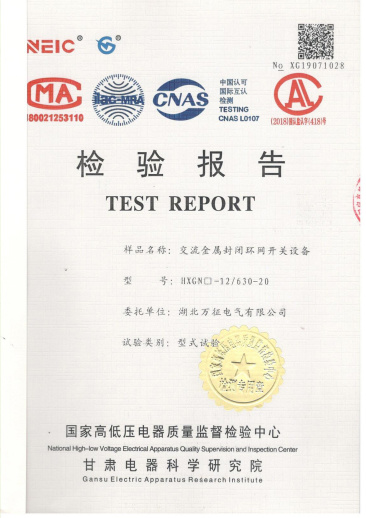 HXGN□-12/630-20交流金屬封閉環(huán)網(wǎng)開(kāi)關(guān)設(shè)備檢驗(yàn)報(bào)告